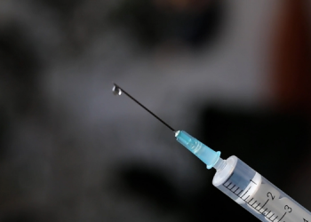 Vacinação contra dengue começa em fevereiro e prioriza pessoas de 6 a 16 anos