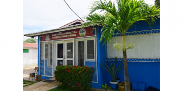 Secretaria de Agricultura promove “Dia de Campo” na quarta (31) sobre criação de camarões em viveiros