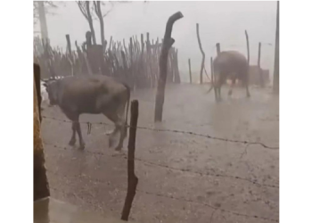 Interior do RN registra chuvas com granizo; veja vídeo