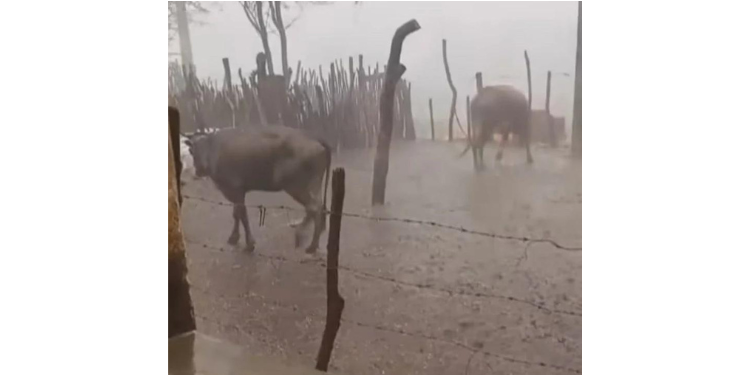 Interior do RN registra chuvas com granizo; veja vídeo