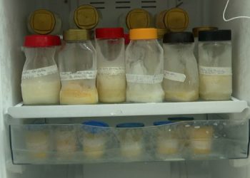 Banco de Leite de Mossoró precisa de doações