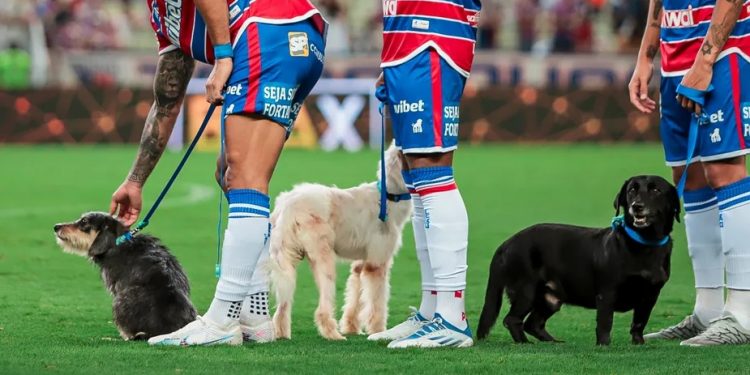Jogadores do Potiguar entrarão em campo com cachorros em campanha de adoção