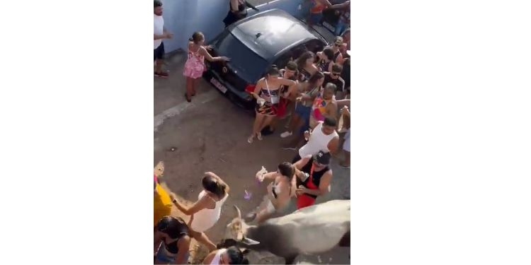 Touro invade bloco de Carnaval e chifra foliões em Pendências; veja vídeo