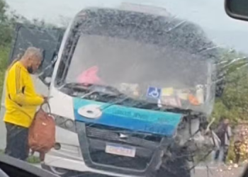 Duas pessoas morrem em acidente envolvendo micro-ônibus na BR-226