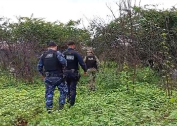 Corpo com marcas de espancamento é encontrado na zona rural de Mossoró