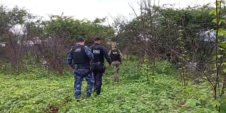 Corpo com marcas de espancamento é encontrado na zona rural de Mossoró