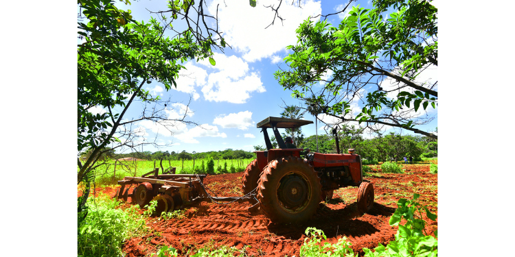 Lançamento do Programa Semear 2024 acontece em 21 de fevereiro