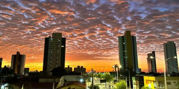 Quando fevereiro chegar