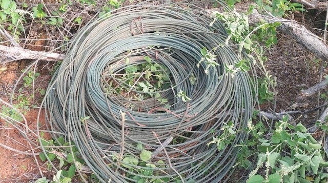 Homem é preso após furtar cabos em Porto do Mangue