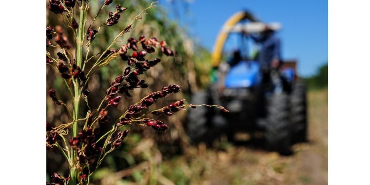Curso Técnico em Agricultura tem primeira aula presencial neste sábado (23)