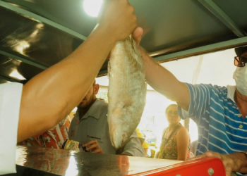 Projeto “Peixe Popular” inicia vendas na quarta-feira (27)