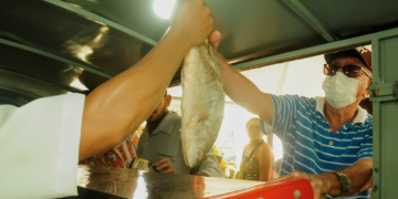 Projeto “Peixe Popular” inicia vendas na quarta-feira (27)