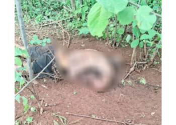 Homem é encontrado morto com mãos amarradas na zona rural de Upanema