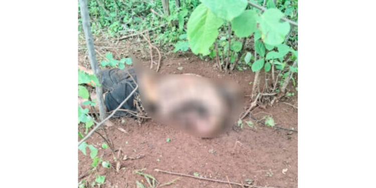 Homem é encontrado morto com mãos amarradas na zona rural de Upanema