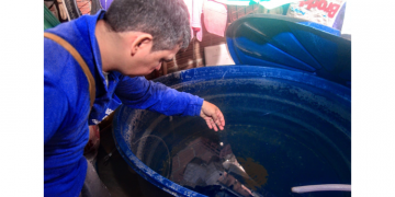Santo Antônio recebe ações de combate à dengue neste sábado (16) em Mossoró