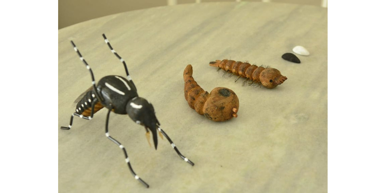 Centro de Controle de Zoonoses tem novo número telefônico disponível ao público