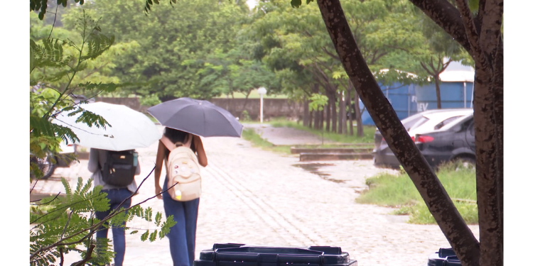 Relatório pluviométrico de Mossoró tem mais de 300 milímetros acumulados em fevereiro