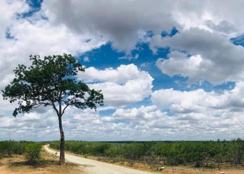 O deserto das decisões
