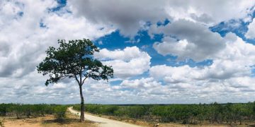 O deserto das decisões