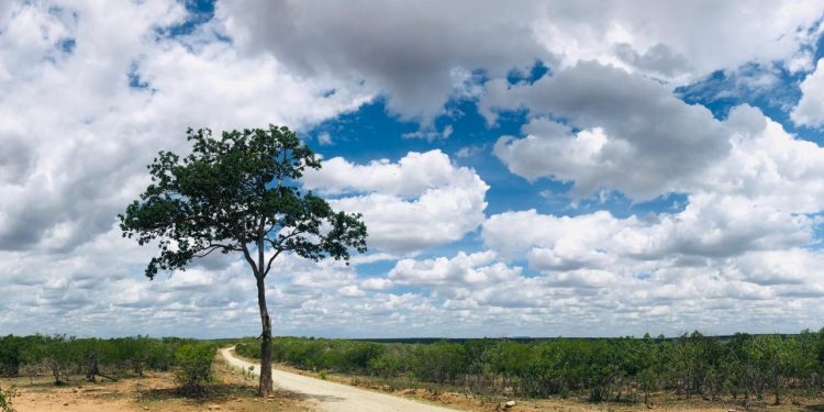 O deserto das decisões
