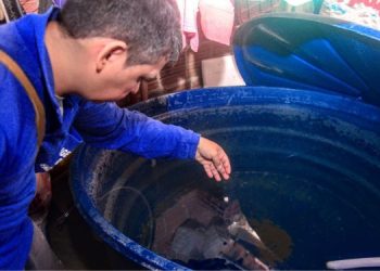 Mossoró divulga primeiro Levantamento Rápido de Índices para Aedes aegypti do ano