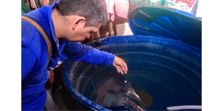 Mossoró divulga primeiro Levantamento Rápido de Índices para Aedes aegypti do ano