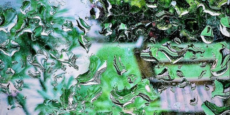 Adormeci com uma decisão tomada