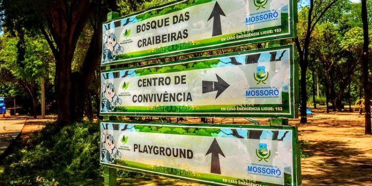 Semana do Meio Ambiente 2024 debaterá “Cuidando do nosso planeta: restaurando a terra, preservando o futuro”