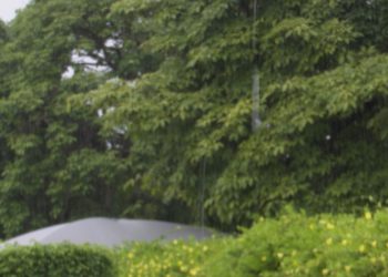 Emparn prevê chuvas entre normal a acima da média para Leste e Agreste do RN