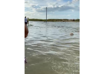 Viveiro de camarão rompe e causa inundação em residências em Grossos  