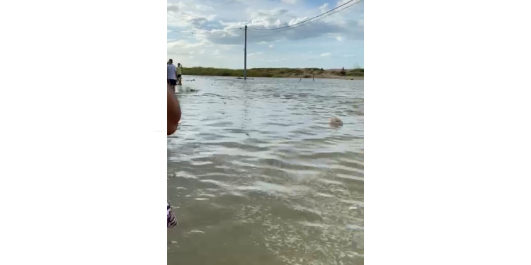 Viveiro de camarão rompe e causa inundação em residências em Grossos  