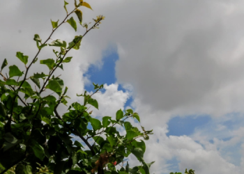 Previsão para o final de semana é de chuvas no RN