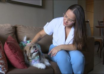 Mercado de pets atrai empreendedores