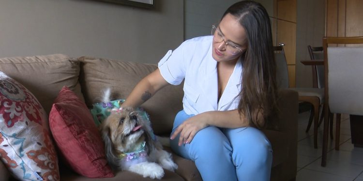 Mercado de pets atrai empreendedores