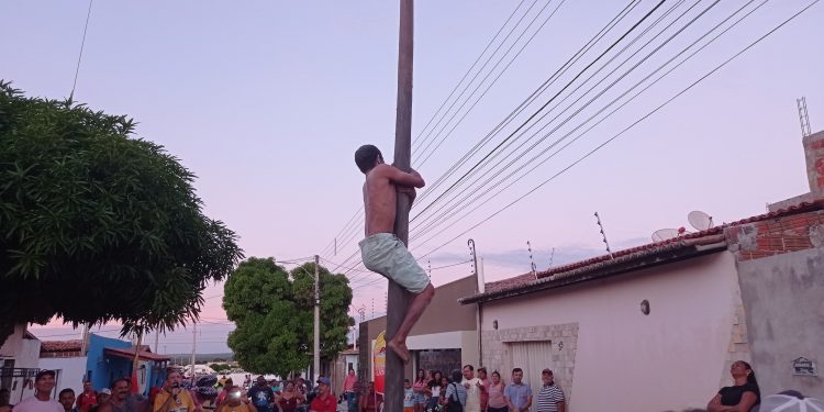 Pau-de-Sebo da Princesa: uma tradição cultural que movimenta Assú durante o São João