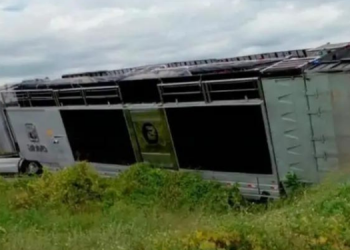 Trio elétrico de Bell Marques fica preso na rotatória da BR-226 em Pau dos Ferros