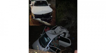 Animal morto na pista provoca acidente na BR-110 no município de Upanema