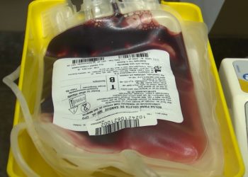 Hemocentro de Mossoró está com estoque zerado de sangue O negativo
