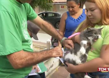 Campanha de vacinação antirrábica em Mossoró continua neste sábado; confira pontos
