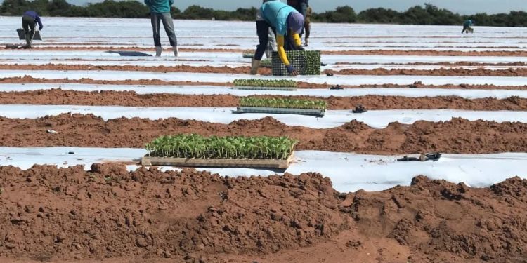 Cosern convoca irrigantes e aquicultores para atualização cadastral