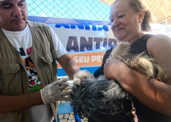 Vacinação antirrábica acontece neste sábado até o meio-dia