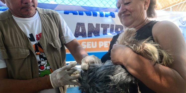 Vacinação antirrábica acontece neste sábado até o meio-dia