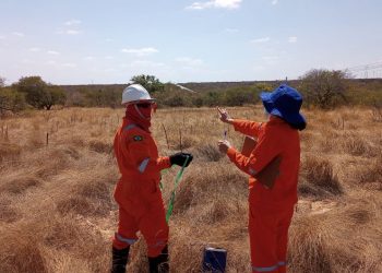 Reaquecimento do Setor de Petróleo e Gás no RN impulsiona empresas locais além das fronteiras estaduais