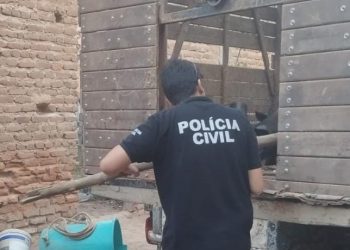 Animais em situação de maus-tratos são resgatados em Apodi; homem é preso