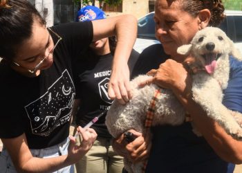 Campanha de vacinação antirrábica continua neste fim de semana em Mossoró