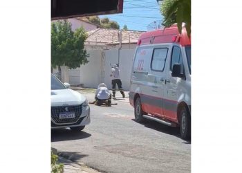 Enxame de abelhas ataca homem em residência próxima ao Vuco Vuco