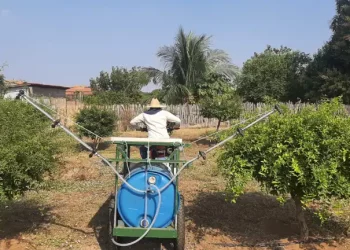 Professor desenvolve pulverizador movido a energia solar para comunidades rurais