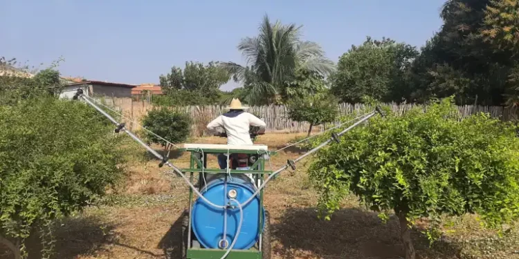 Professor desenvolve pulverizador movido a energia solar para comunidades rurais