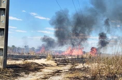 Queimadas próximas à rede elétrica podem causar acidentes, alerta Neoenergia Cosern