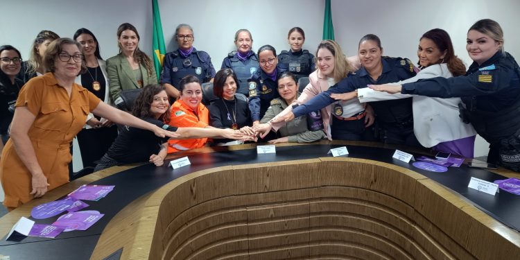 Operação conjunta prioriza combate à violência doméstica no RN